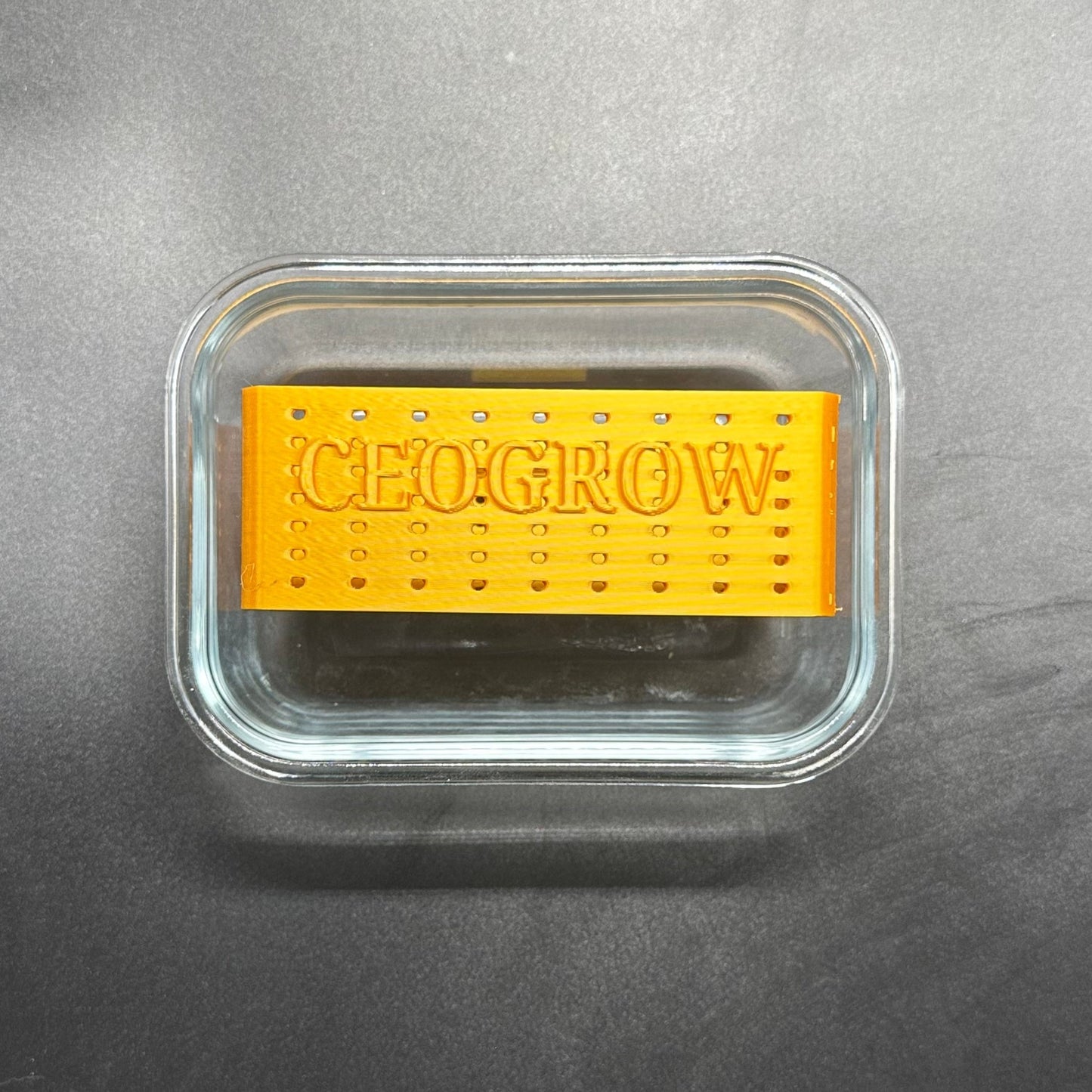 Glass ISO Soak Container